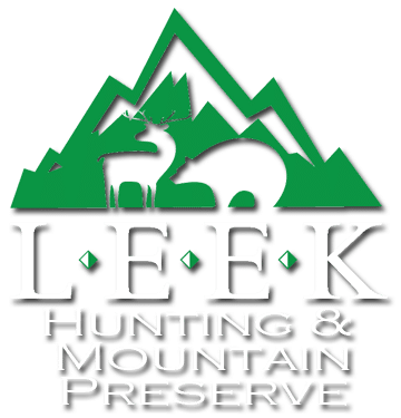 Leek Preserve